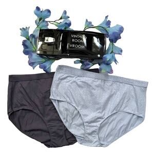 Hanes NWOT 2 Pack Bundle Brief Panties Women 9/2XL